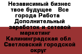 Независимый бизнес-твое будущее - Все города Работа » Дополнительный заработок и сетевой маркетинг   . Калининградская обл.,Светловский городской округ 